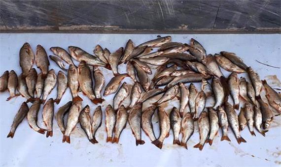 دستگیری ماهیگیران متخلف در حاشیه رودخانه قمرود