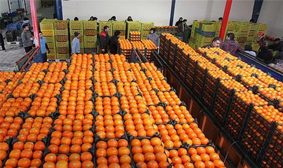 1050 تن سیب و پرتقال برای تأمین میوه شب عید در قم ذخیره می‌شود