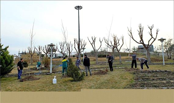 کاشت 560 هزار اصله درخت در شهر تهران/ 530 نقطه با  گل فرش می شود