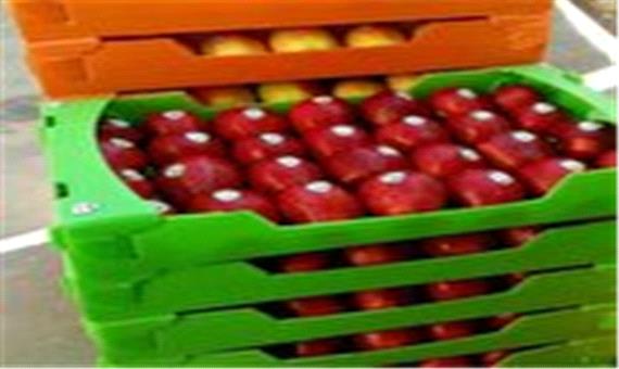 توزیع 3 هزار بسته میوه رایگان در مناطق 22 گانه