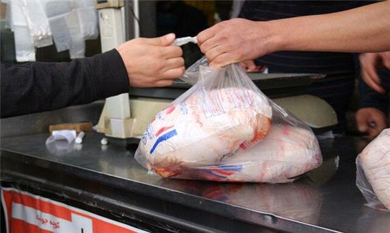 مصرف مرغ مردم قم نصف تولید استان است