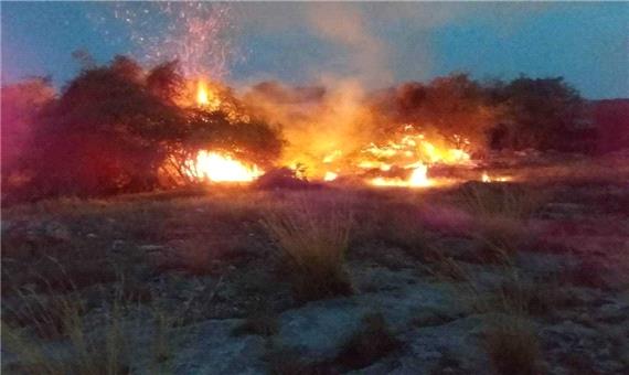 مهار آتش سوزی در پارک ملی دریایی نایبند