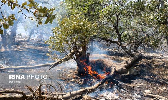 فداکاری محیط‌بانان از گسترش آتش در پلنگ‌دره جلوگیری کرد