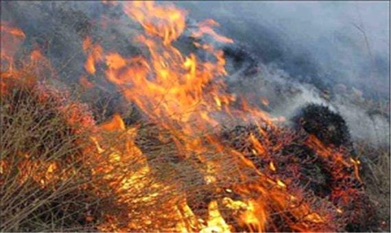آتش‌سوزی 35 هکتار از مراتع استان قم طی هفته اخیر