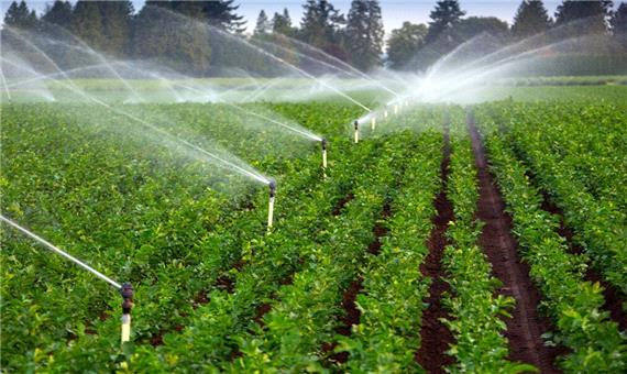 مصرف آب دربخش کشاورزی قم بهینه می‌شود