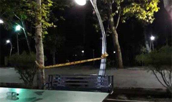 ماجرای فوت یک نوجوان بر اثر برق‌گرفتگی در پارک لاله تهران
