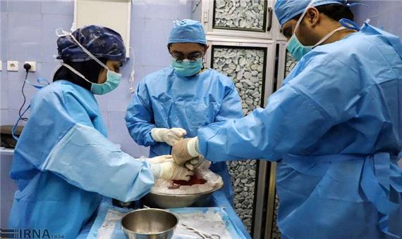 انتقاد یک پزشک به عدم قاطعیت دولت در مقابله با کرونا