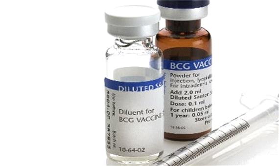 امید پزشکان به استفاده از واکسن سل در مهار کرونا
