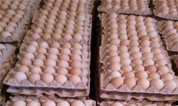 روزانه بیش از 200 تن تخم‌مرغ در مرغداری‌های استان قم تولید می‌شود