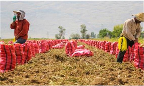 طرح‌های اشتغال روستایی پنج هزار شغل در استان مرکزی ایجاد کرده است