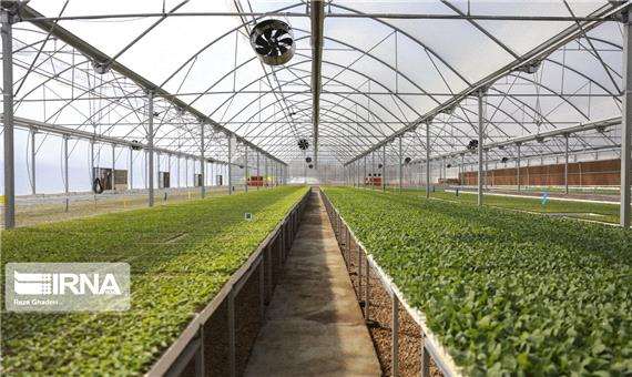 بالابردن امنیت سرمایه‌گذاری در واحدهای کشاورزی قم با حضور مسئول فنی