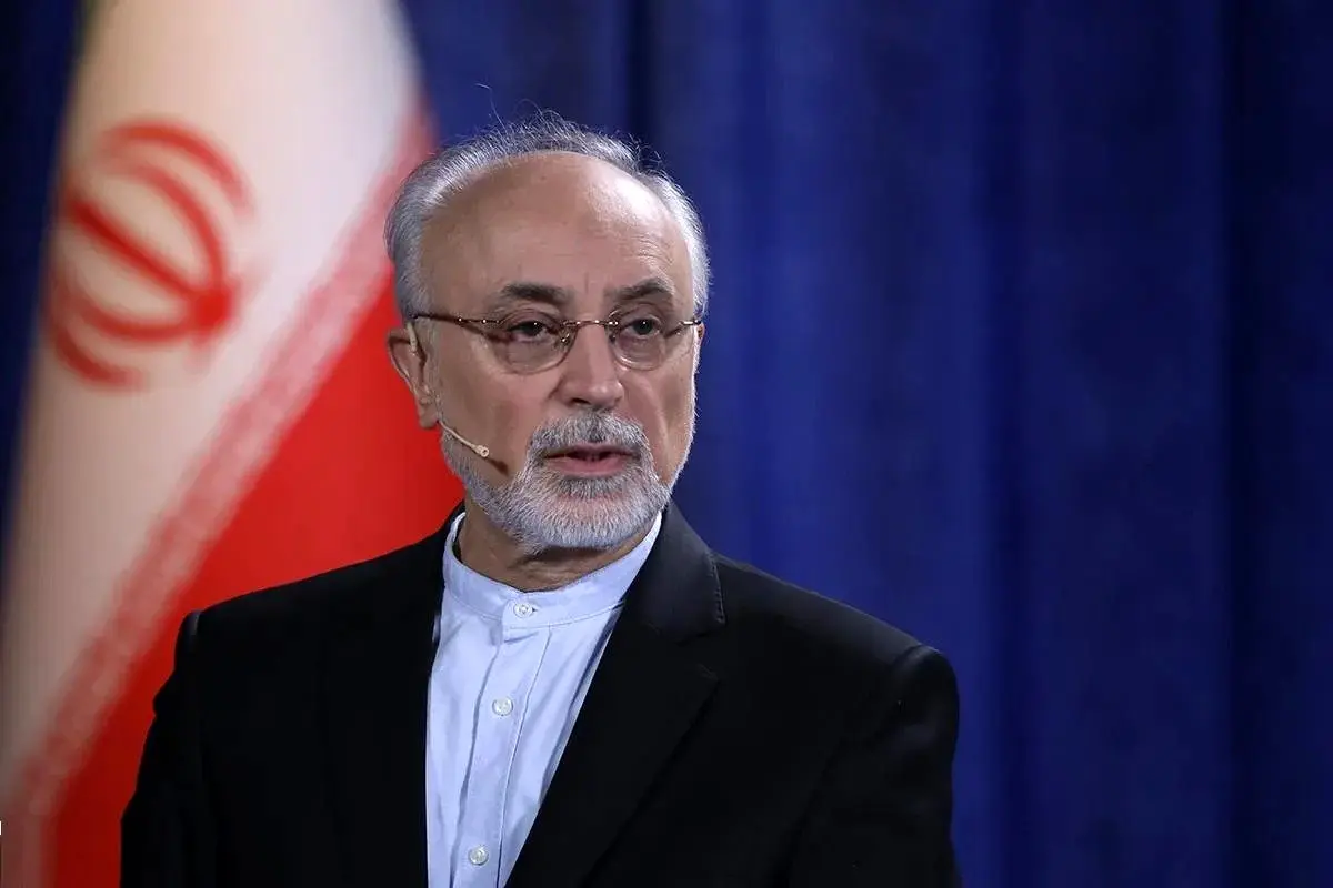 علی‌اکبر صالحی: عقب‌نشینی جلیلی در آلماتی مانع گشایش مذاکرات شد