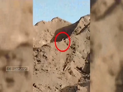 یوز آسیایی دوباره به خراسان جنوبی برگشت