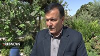 سهم اقتصاد در تعاون قم، بسیار اندک است