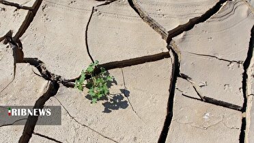 قم با چالش مدیریت منابع آب مواجه است
