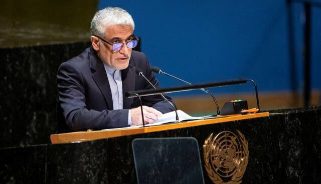 ایروانی: ایران نگران اردوگاه‌های داعش است