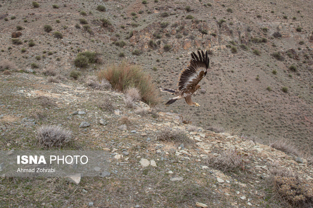 سرشماری منطقه پلنگ‌دره قم برای نخستین بار با استفاده از پهپاد
