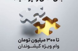 پرداخت هزار و صد میلیارد ریال تسهیلات در هفته نخست فعالیت پلتفرم رویال کیش