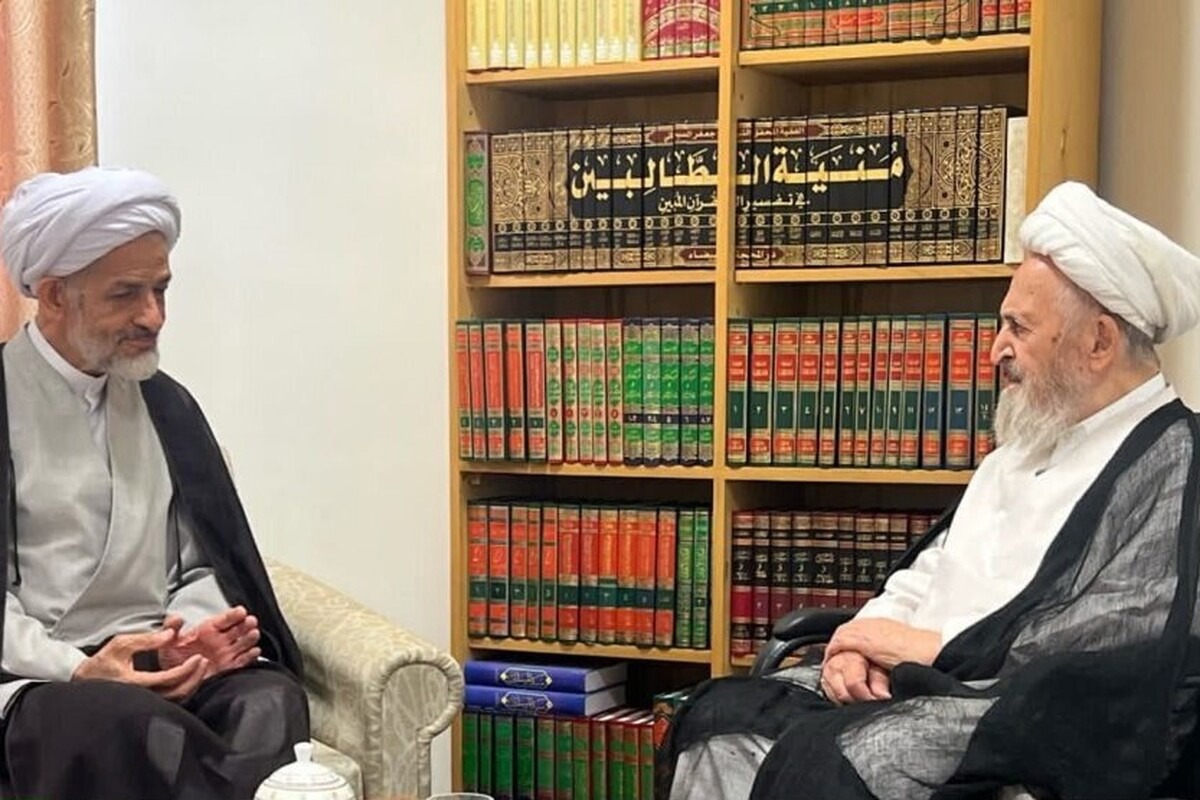 رئیس مجمع عالی حکمت اسلامی با آیت الله سبحانی دیدار کرد