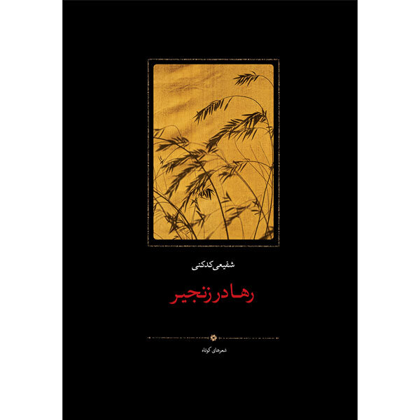 عصر قم