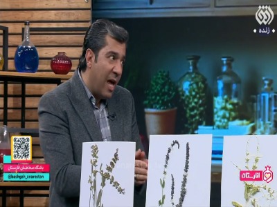 تشخیص مریم گلی اصل و گنجینه فواید آن