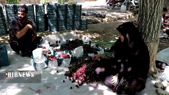 عصر قم