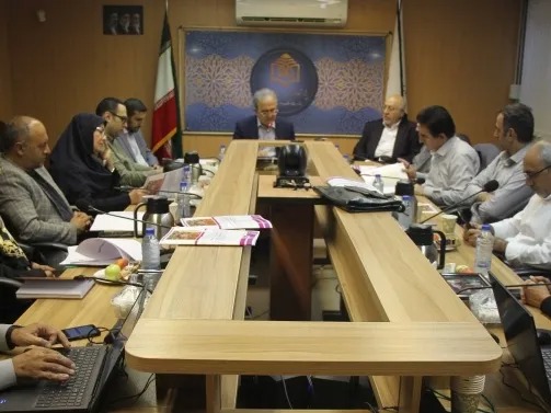 سیاستگذاری فرهنگی بدون تصویب قانون بی فایده است