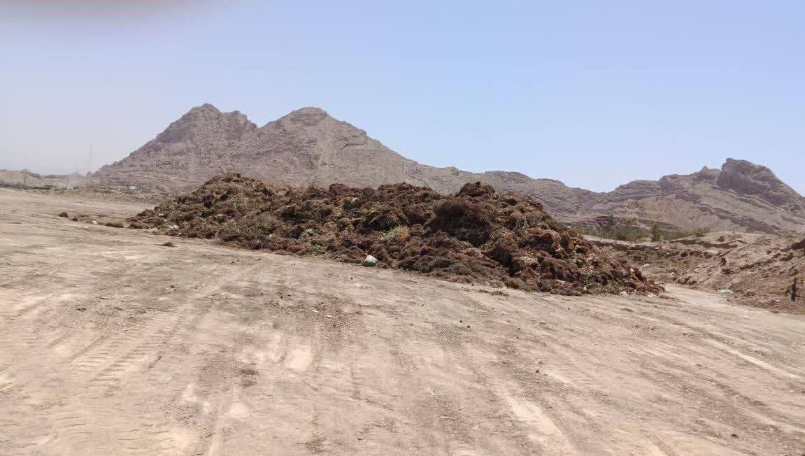 عصر قم