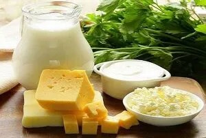 نگاه طب ایرانی به اثرات درمانی پروبیوتیک‌ها