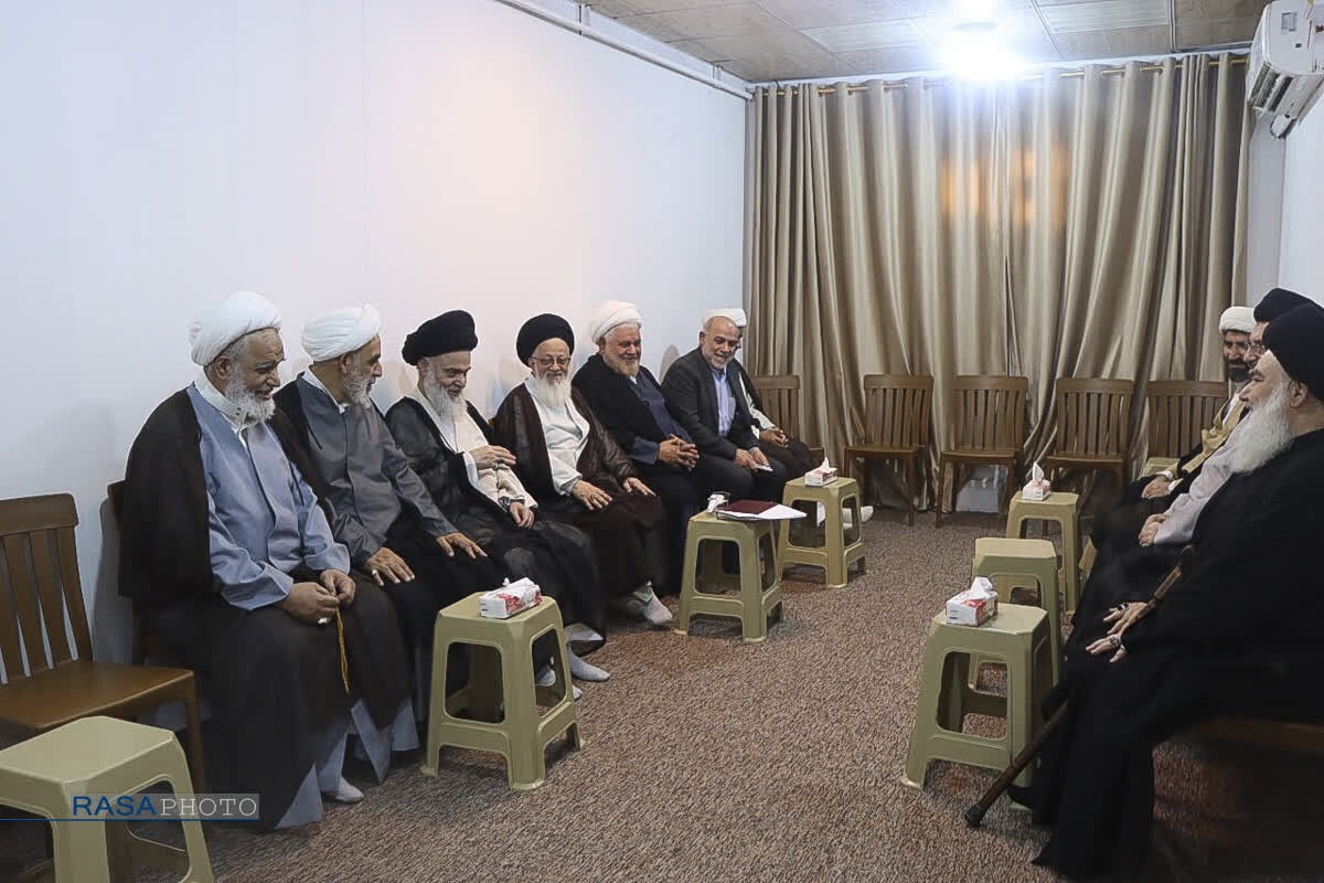 دیدار هیئت اعزامی مقام معظم رهبری با علمای نجف اشرف + تصاویر