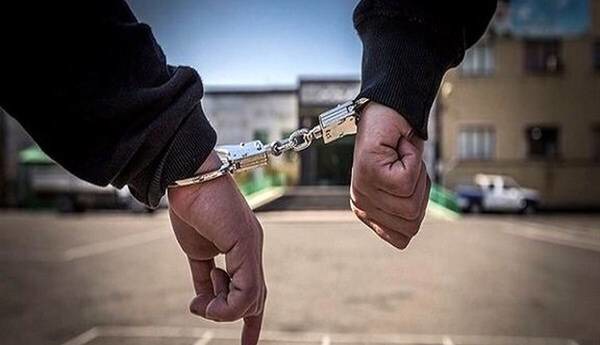 کشف ۱۰ فقره سرقت اماکن خصوصی درگناوه؛ سارق دستگیر شد