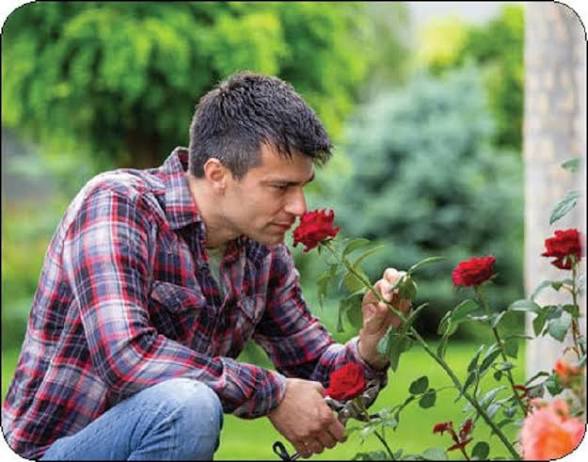 از بینی به حافظه؛ تمرینی برای تقویت بویایی!