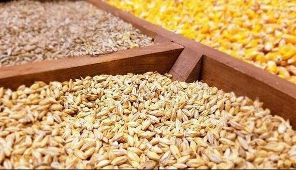 کشف ۴۵ تن انواع نهاده‌های دامی و خوراکی قاچاق از یک انبار در قم