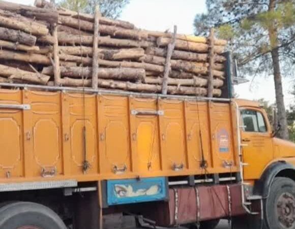 کشف ۱۲ تن چوب بدون‌ مجوز در جهرم فارس