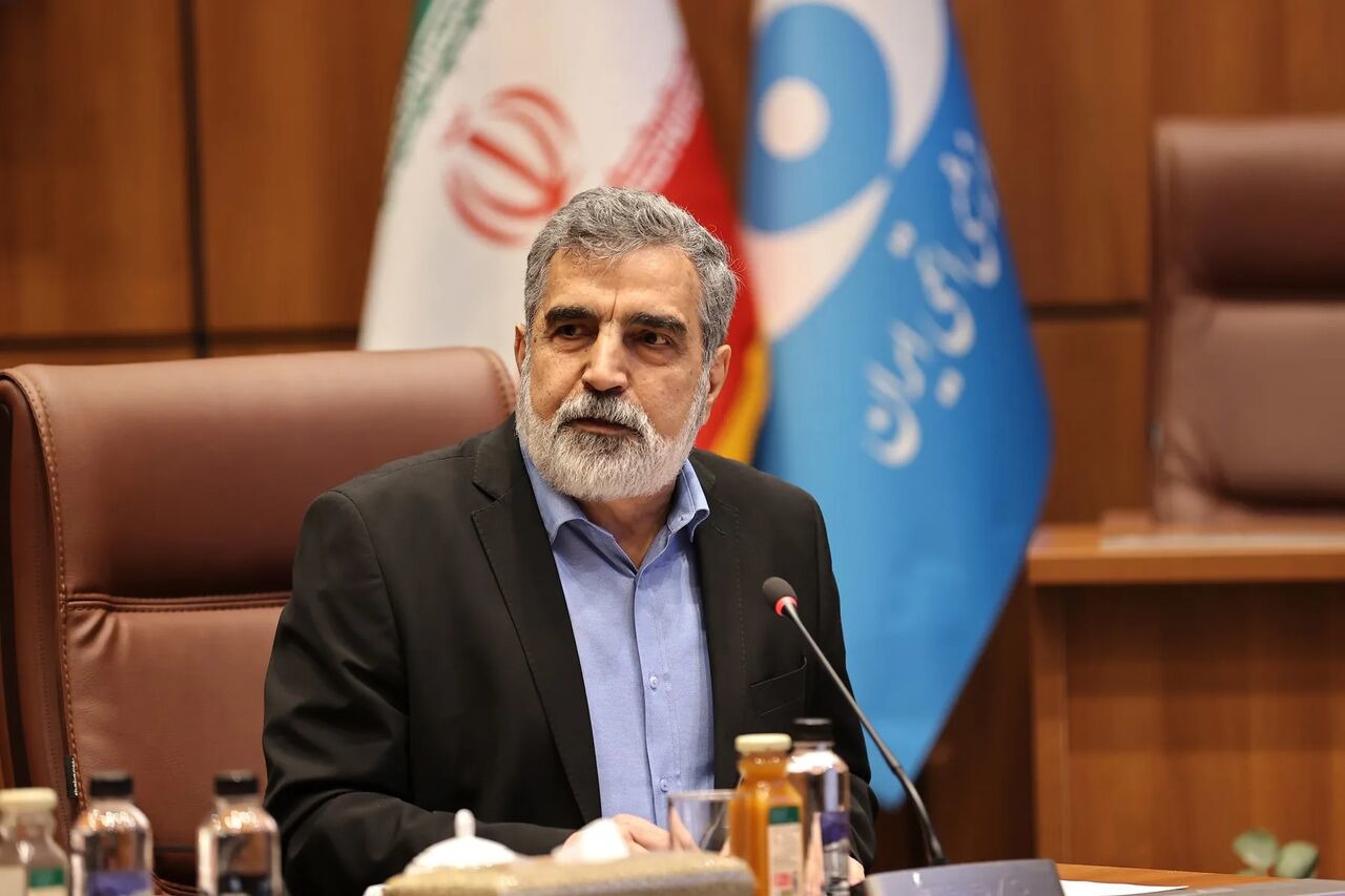 کمالوندی: پروتکل ساخت راکتورهای کوچک با روسیه در حال نهایی‌شدن است