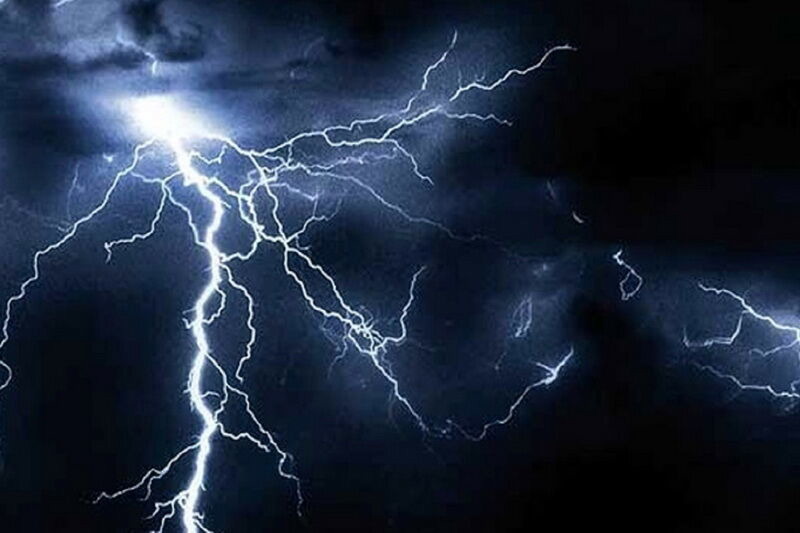 صاعقه در بشاگرد هرمزگان، ۶۰ درخت نخل را سوزاند